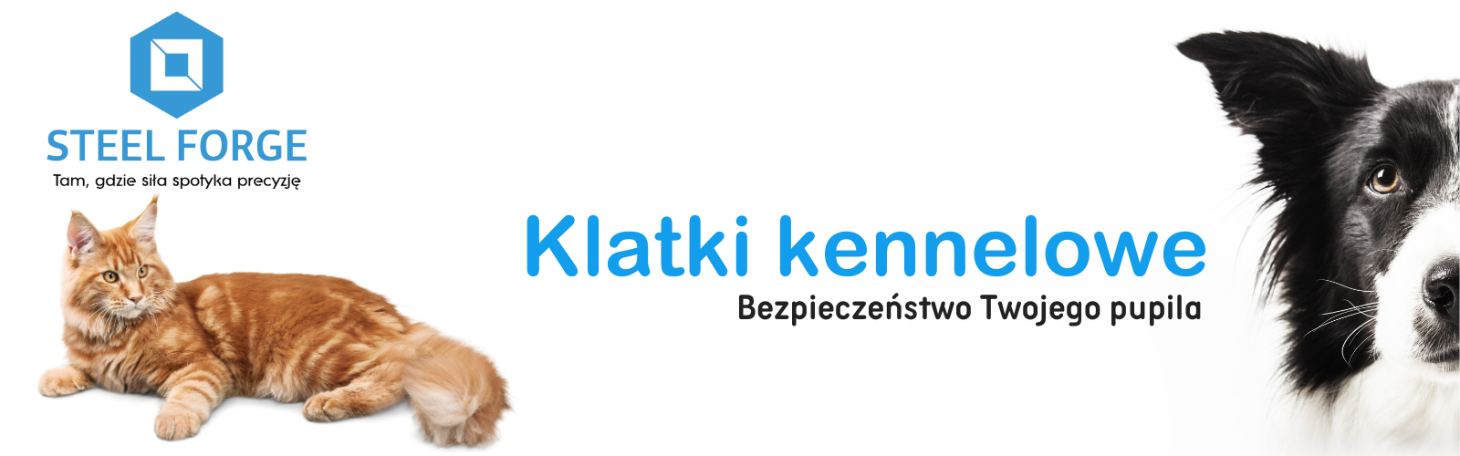 MAIN - Klatki kennelowe 1 MAIN - Klatki kennelowe 1